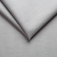 ▪20 Silver