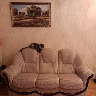 Перетяжка мягкого дивана 