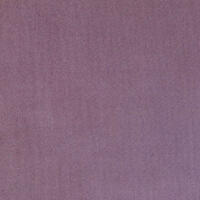 Allure Plain 14