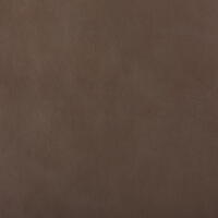 Antiq 5