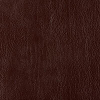 Bizon 2