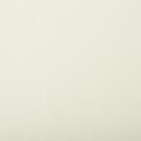 Disco_1_white