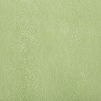 Disco_3_green