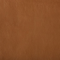 Disco_5_gold