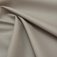 Kanzas-03-gris