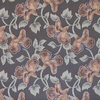 Wismar_brown