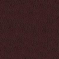 2303-07 Castano