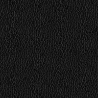 2303-11 Negro