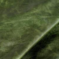 ▪Verde